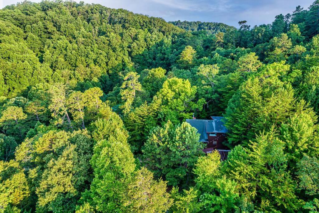 New Hot Tub! Secluded 3 Bed In Pigeon Forge